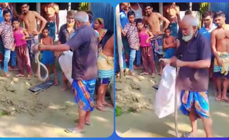 কুড়িগ্রামে সাপ ধরতে গিয়ে সাপের কামড়ে এক সাপুড়ের মৃত্যু