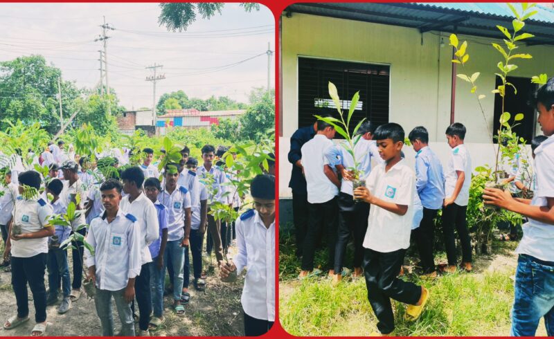 বাসযোগ্য পৃথিবী গড়ার লক্ষ্যে সোনারগাঁওয়ে চারাগাছ বিতরণ