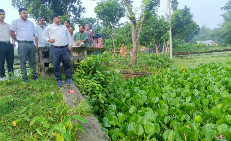 কাউনিয়ায় কচুরিপানায় সেতুমুখ বন্ধ, পরিদর্শনে বিএডিসি নির্বাহী প্রকৌশলী