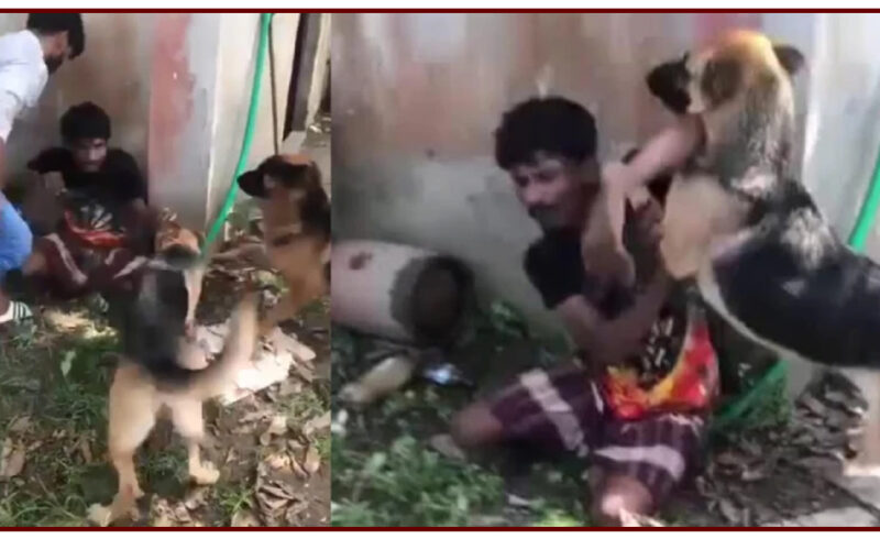 কুমিল্লায় চুরির অভিযোগে কুকুর লেলিয়ে নির্যাতন, গ্রেপ্তার ৩