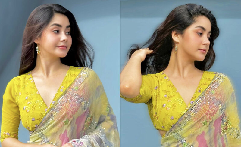 রঙিন শাড়িতে নতুন রূপে রোজা আহমেদ