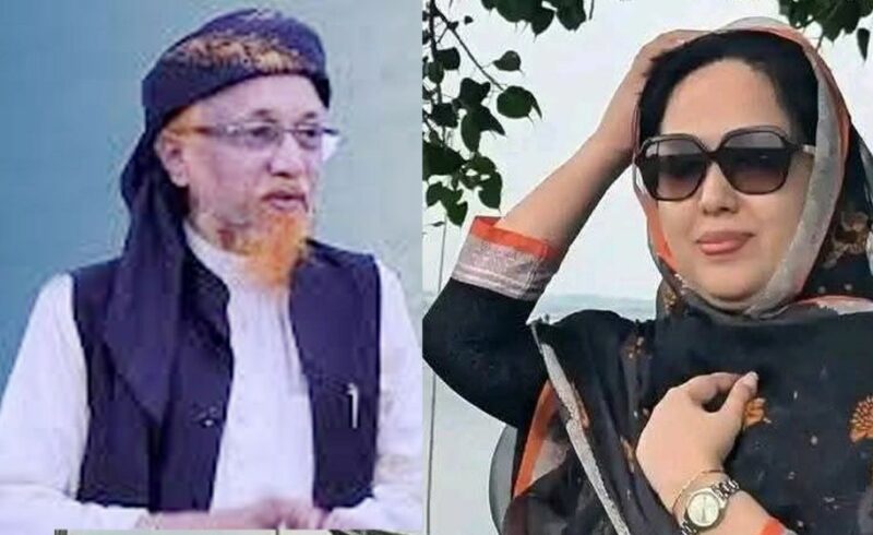 ব্রাহ্মণবাড়িয়া-২: রুমিন ফারহানার আসনে ধানের শীষে প্রার্থী হতে পারেন জুনায়েদ আল হাবীব