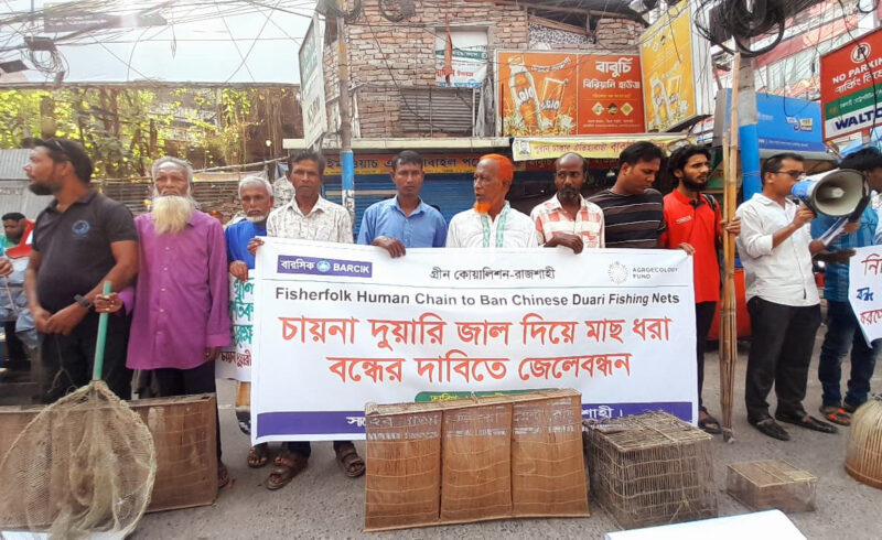 জলাভূমি ও দেশীয় মাছ বাঁচাতে রাজশাহীতে জেলেদের মানববন্ধন