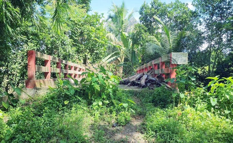 ’’সাবেক সচিবের গাড়িচালকের পুকুরে যেতে ৩১ লাখ টাকার সরকারি সেতু’’