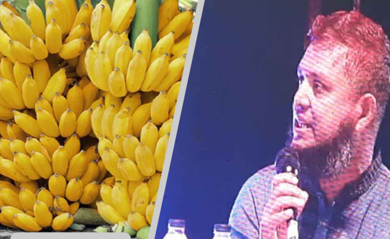 ‘ঘুষ নয়, পাকা কলা খেয়েছি’, গণশুনানিতে হাস্যরসের ঘটনা
