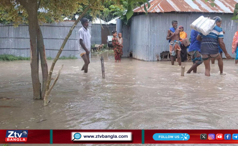 কুড়িগ্রামে প্লাবিত নিম্নাঞ্চল, ১২২৭ হেক্টর ফসল পানির নিচে