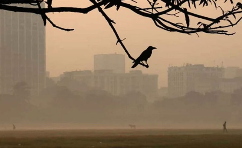 রাতের তাপমাত্রা নেমে আসছে ১৭ ডিগ্রিতে, নগরবাসী পাচ্ছে শীতের আমেজ