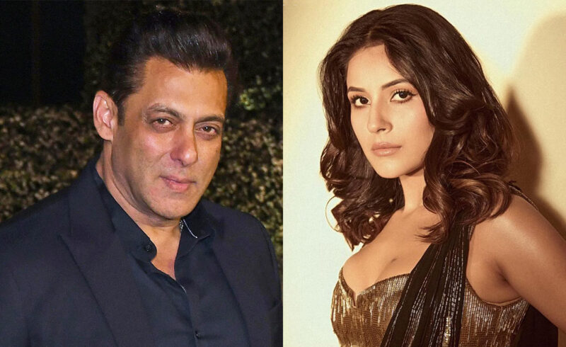 সালমানের খামারবাড়িতে দুইদিন থেকেছি’- শেহনাজ গিলের খোলামেলা স্বীকারোক্তি