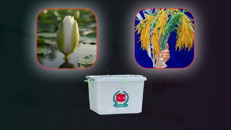 ‘ধানের শীষ’ বনাম ‘শাপলা কলি’: লড়াইয়ের ইঙ্গিত: নাসীরুদ্দীন