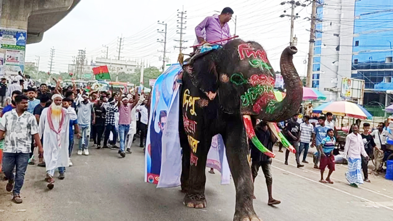 নারায়ণগঞ্জে হাতি-ঘোড়ায় বর্ণিল যুবদলের ৪৭তম প্রতিষ্ঠাবার্ষিকী পালিত