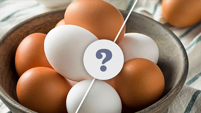সাদা নাকি লাল, কোন ডিমে পুষ্টিগুণ বেশি!