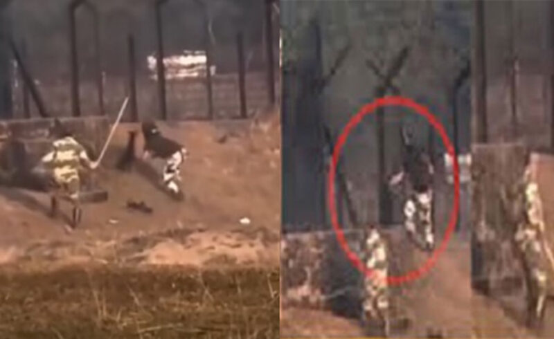 বাংলাদেশের সীমান্তে ঢুকে ছাগল চুরি করলো বিএসএফ